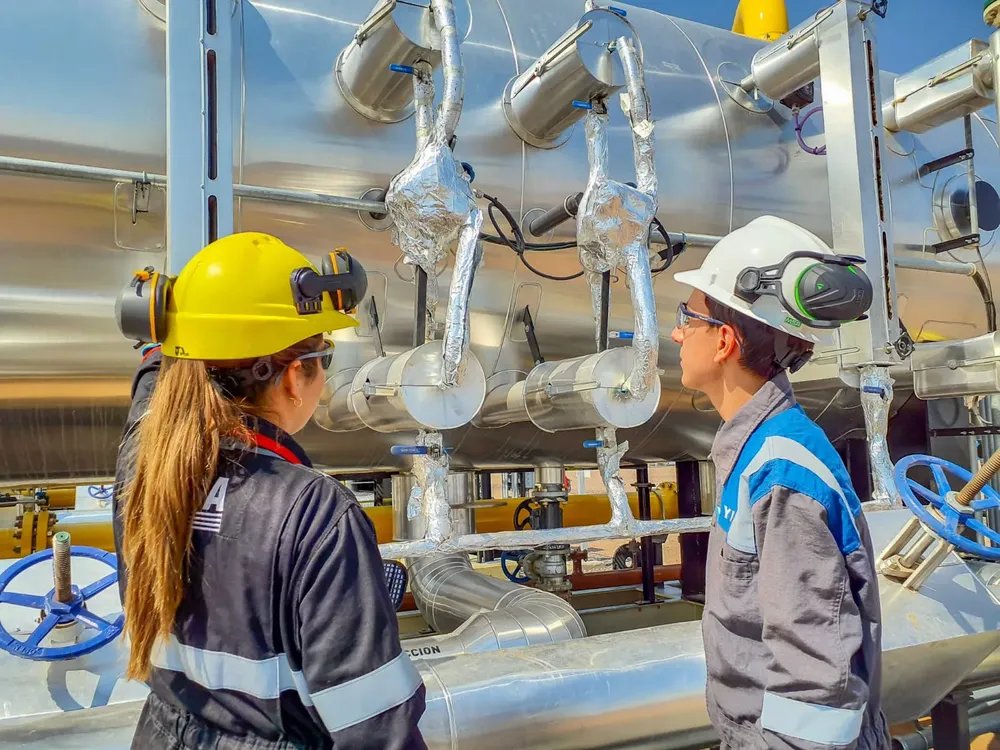 WhatsApp Image 2026-02-12 at 17.18.27 (3)