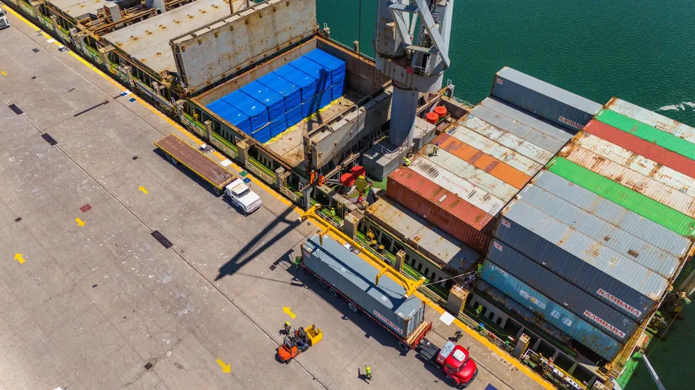 1765491957_7ccc73110bf5eba1c25a