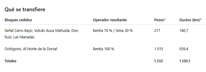 Opera Instantánea_2025-05-09_001032_chatgpt.com
