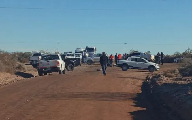 WhatsApp Image 2024-06-26 at 14.19.042